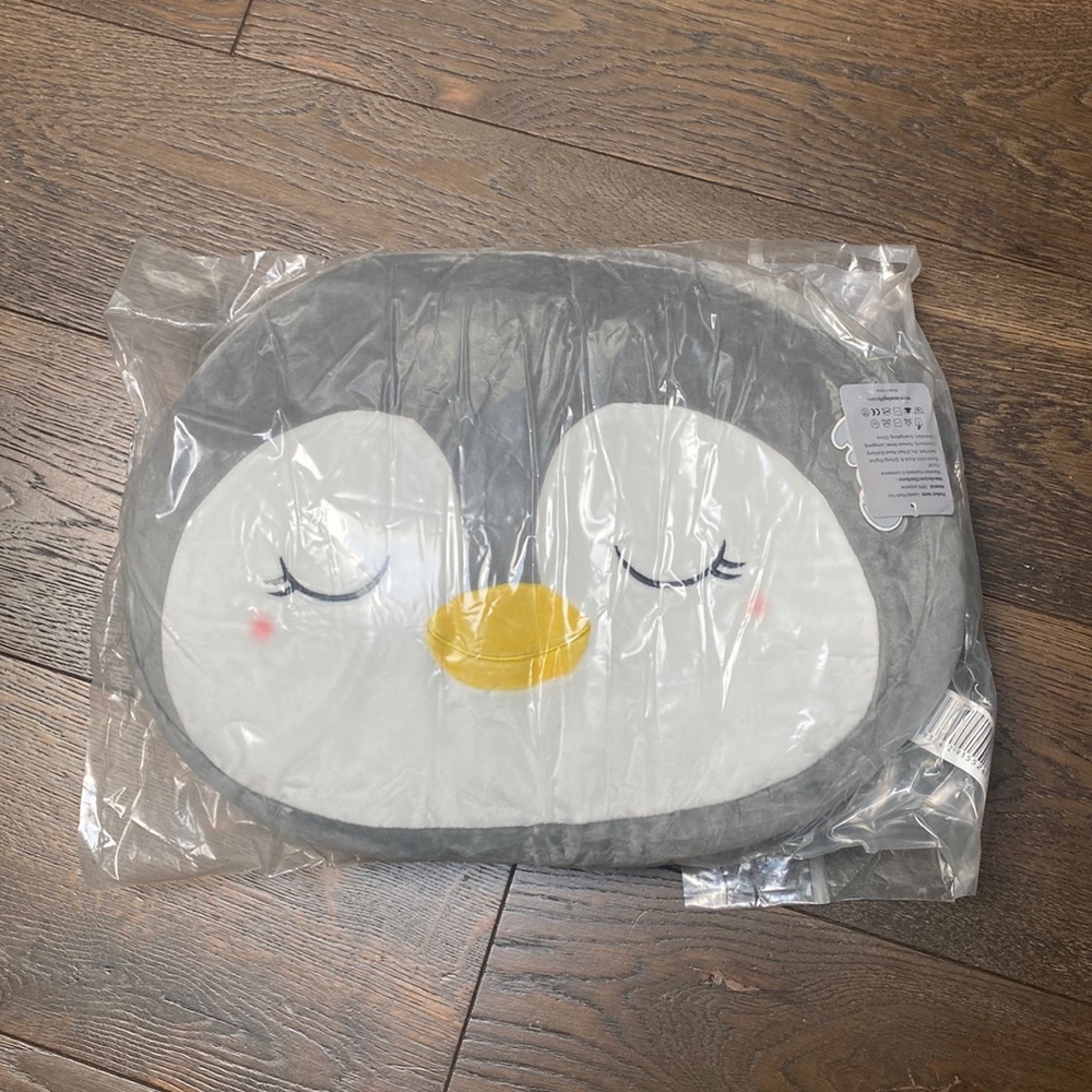Lazada pillow NWT 15 inches
